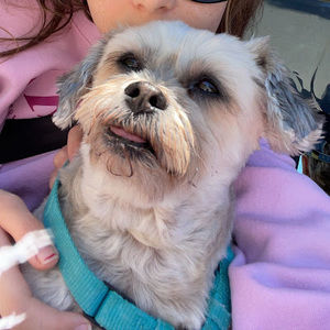 Meet your Posher, Olivia